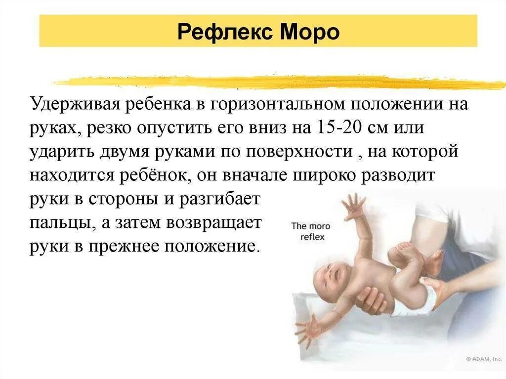 Ребенка положение соответствующее его. Правильная посадка для детей. Ребенка положение соответствующее его. Рефлекс моро у грудничка в 6 месяцев. Правильное положение младенца на руках.