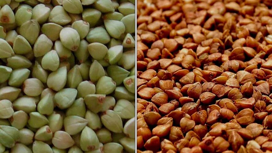 Типы гречки. Крупа гречневая. Типы гречки. Типы гречки. Типы гречки.