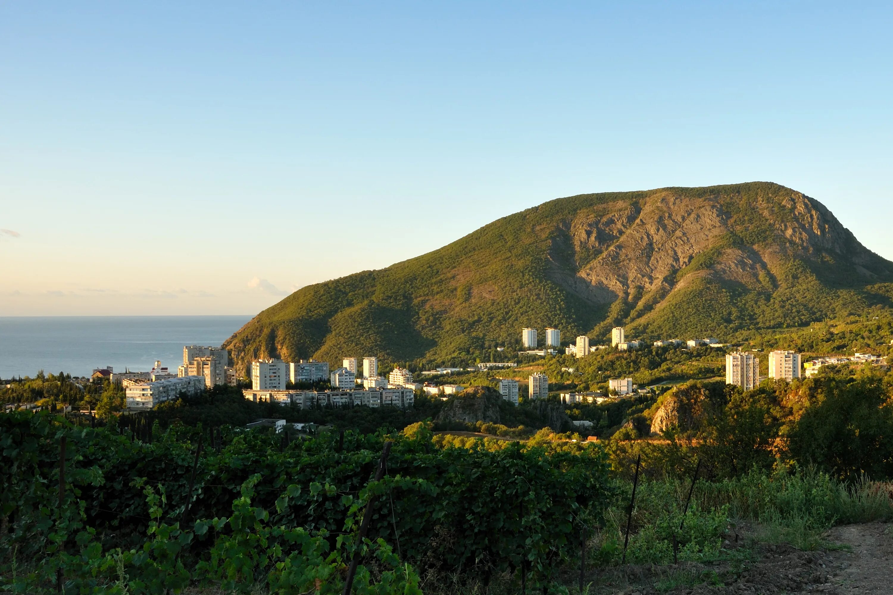 П партенит. Гора аю даг алушта. медведь гора партенит. крым партенит медведь гора. алушта гора медведь.