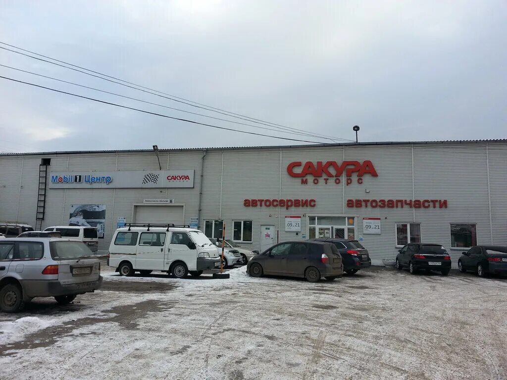 Сакура моторс красноярск. Сакура моторс тартаковский. Игарская 11 д абакан на карте. Магазин автозапчастей. Магазин автозапчастей.