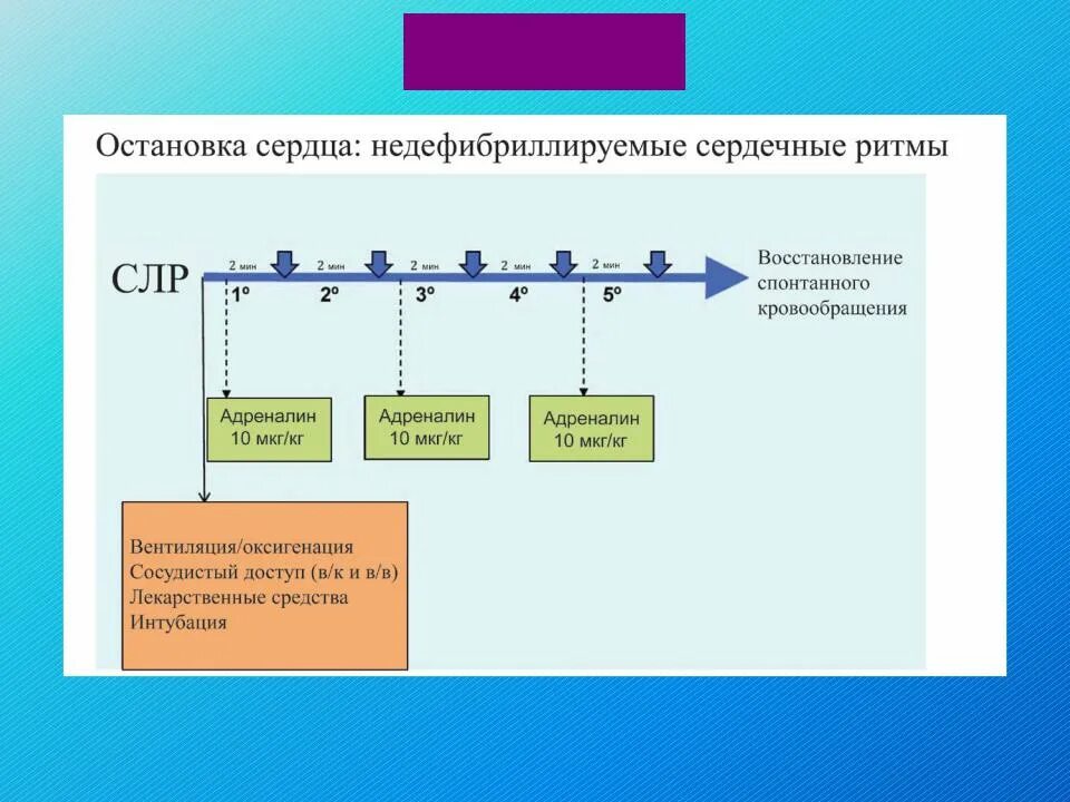 Алгоритм ритм. Расширенная слр алгоритм. Алгоритм 1 помощи при сердечно легочной реанимации. Дифференциальная диагностика желудочковых аритмий. Неотложная помощь при пароксизмальной тахикардии алгоритм.