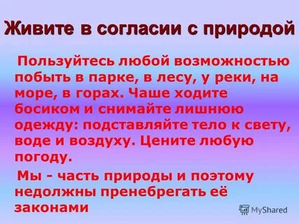 Кодекс согласия