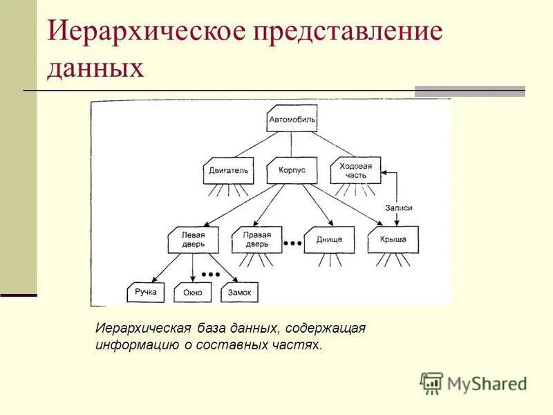 Модель иерархической структуры. Иерархическая модель СУБД. Иерархия база данных. Иерархический Тип база данных. Иерархическая модель представления данных.