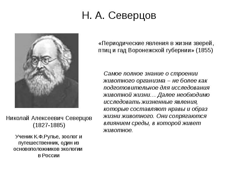 Н а северцев