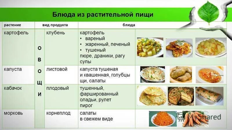 Можно ли картофель при гв. Можно жареную картошку при гв. Можно ли картошку при грудном вскармливании в 1 месяц. Можно ли есть картошку при грудном вскармливании в первый месяц. Жарен кормящей маме