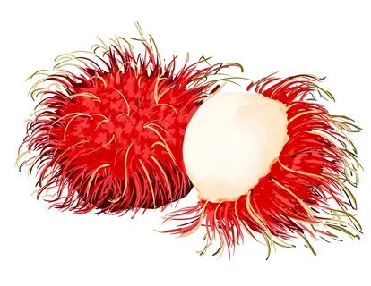 Rambutan fz шаблон кк