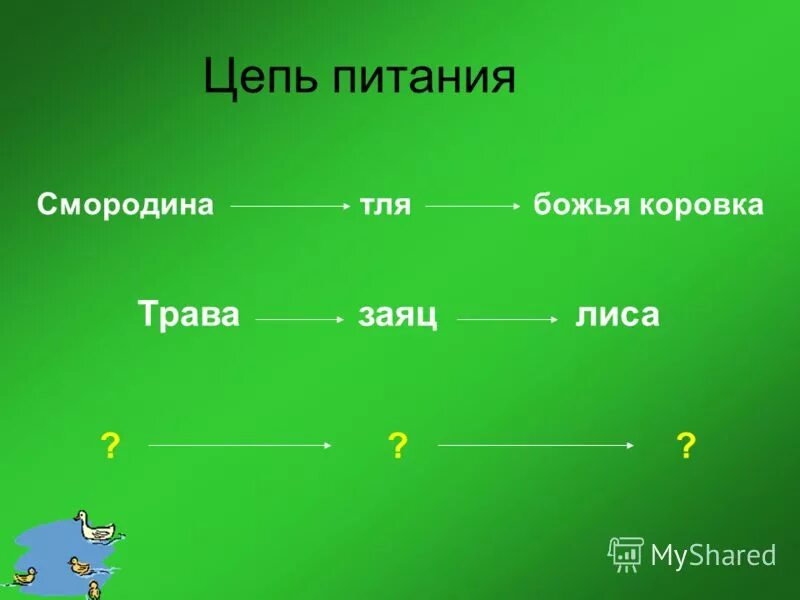 Цепи питания. Цепочка питания. Пищевая цепь. Цепочки питания примеры. Дополни цепи питания