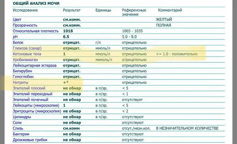 Норма кетонов в моче при беременности. Нормальные показатели анализа мочи общий и по нечипоренко. анализ мочи кетоновые тела норма. анализ мочи бактерии норма. показатели лейкоцитов в моче норма.