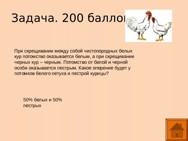 Задачки с курицами. При скрещивании между собой чистопородных белых кур. При скрещивании между собой чистопородных. При скрещивании между собой чистопородных белых кур потомство.