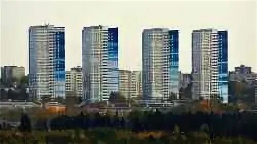 Сорок д