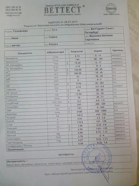 Алт анализ повышен у мужчины. ЛДГ В биохимическом анализе крови норма. АСТ алт ЛДГ. Алт результат анализа. Алт норма.