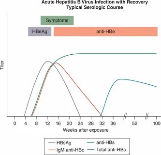 Anti hcv total что это