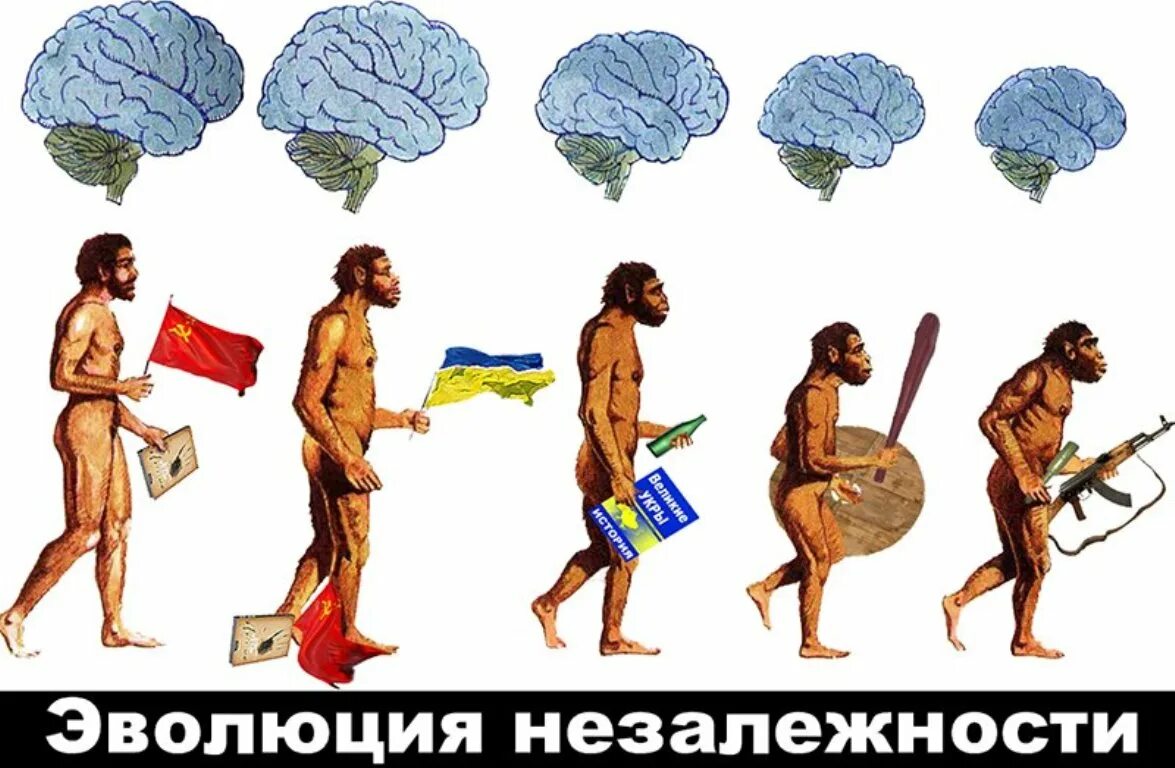 Evolution ошибка