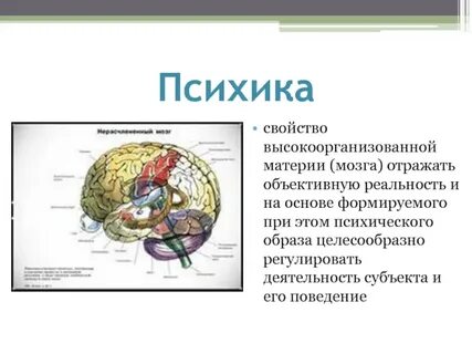 Свойства живой высокоорганизованной материи