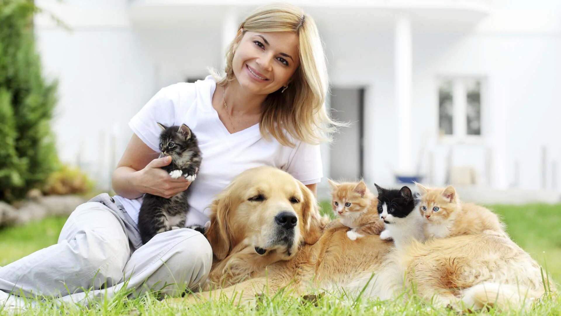 Pets with us