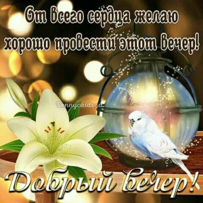 Открытка добрый вечер со смыслом. Открытки добрый вечер. открытки с добрым вечером и доброй ночи. добрый вечер со смыслом.