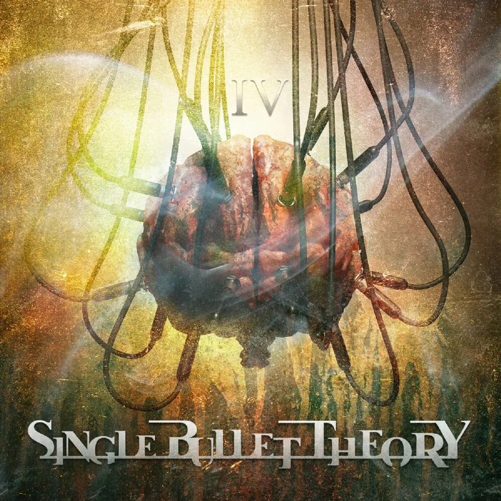 Bullets single. Single bullet theory.