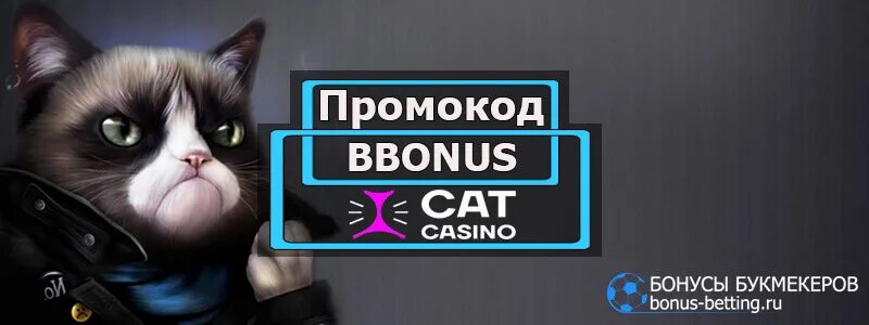 Casino cat cat license play space. Cat Casino. Cat Casino логотип. Cat Casino промокод. Cat Casino промокоды 2022.