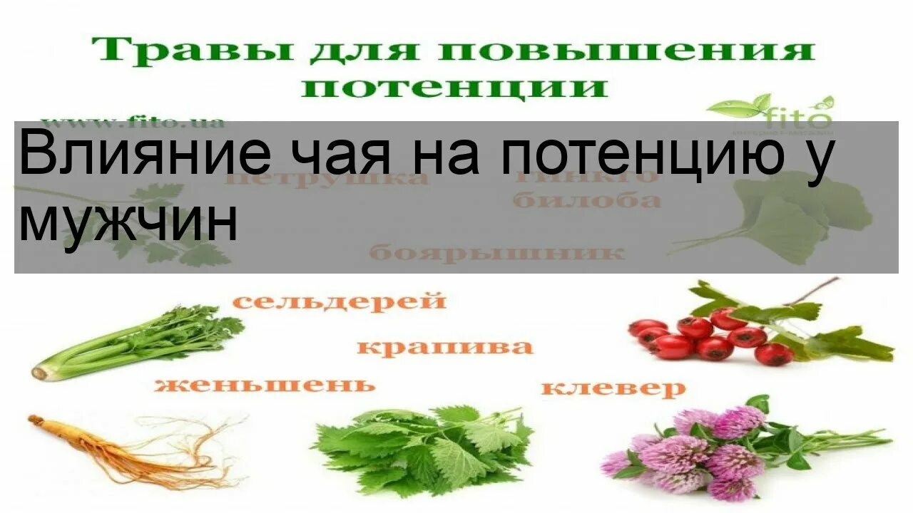 Чай влияющий на потенцию