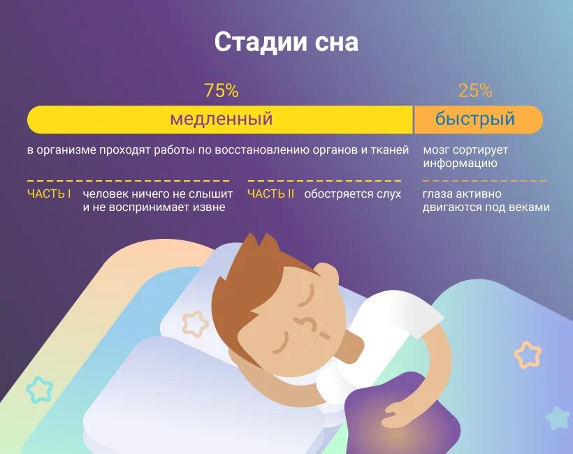 Режимы полифазного сна. Достаточный сон. Deep sleep [leamgames] глубокий сон. Sleep 1 second. Фазы быстрого и медленного сна.