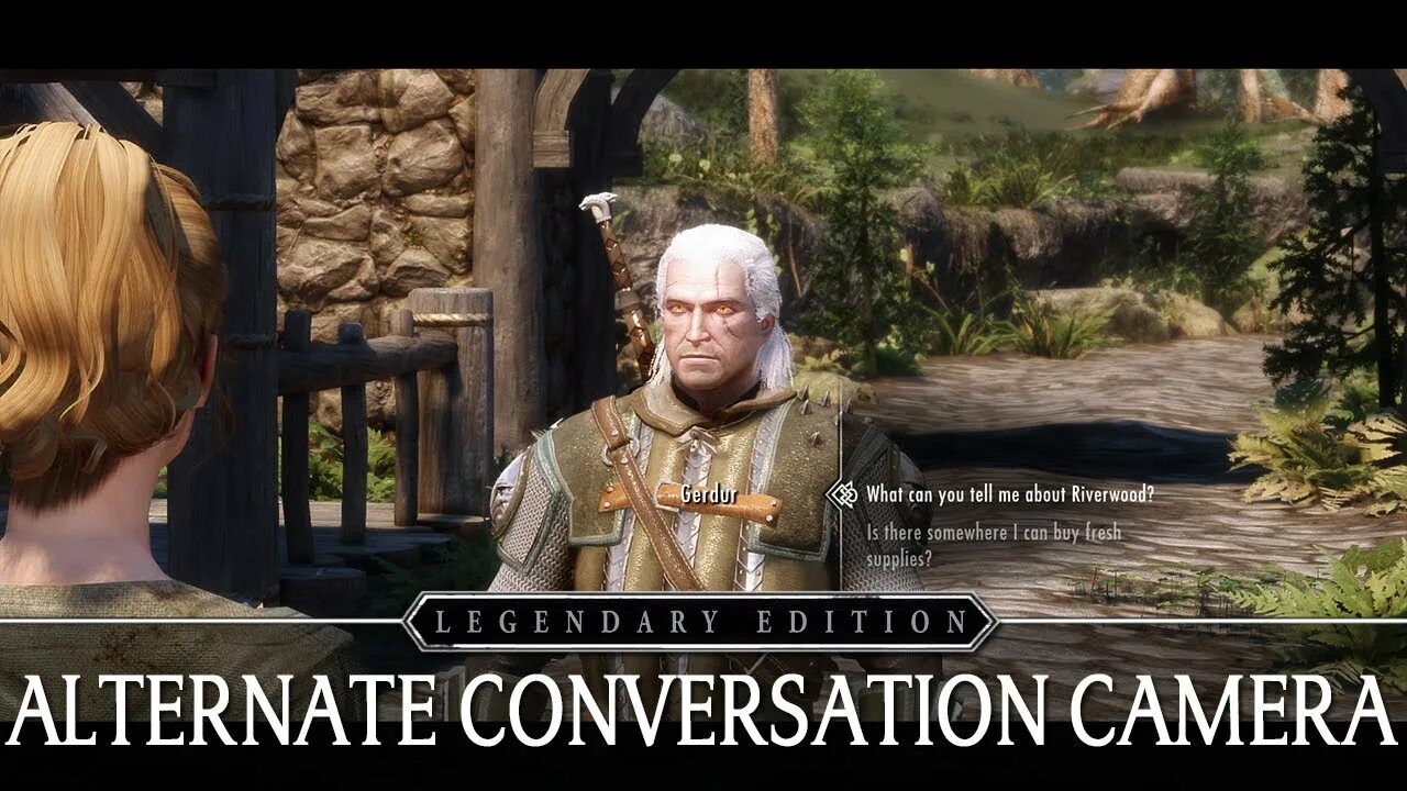 Dialogue overhaul. Skyrim Alternate conversation Camera. Skyrim Dialogue overhaul. Alternative conversation Camera.