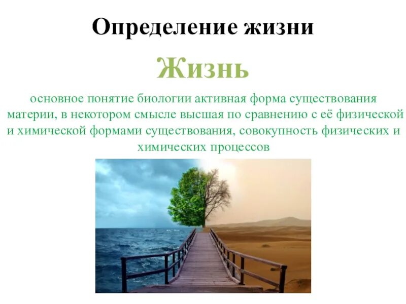 Определение термина биология. Определение жизни. определение понятия жизнь биология. понятие жизнь в биологии. жизнь это биологическое понятие.