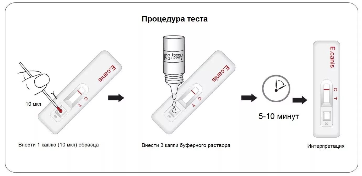 Экспресс тест в домашних условиях. Экспресс-тест на ковид. Как определить ковид по экспресс тесту. Тест кассета теста на ковид. Методика экспресс теста на ковид.