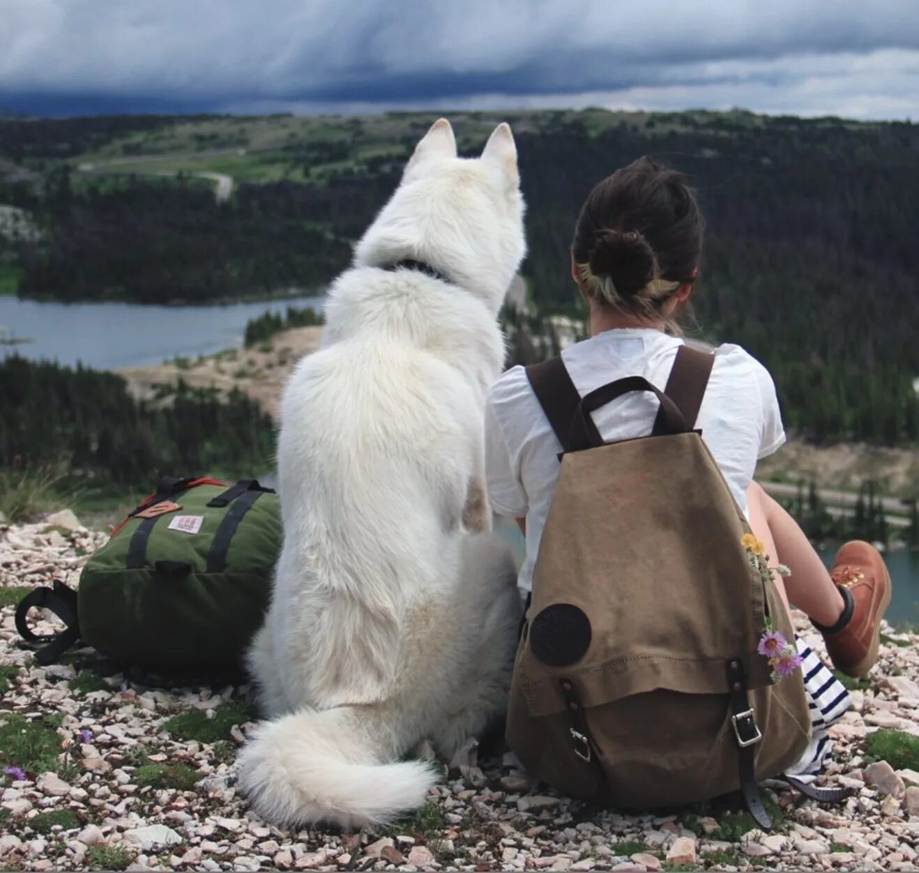Лучшие друзья путешествия. Человек с собакой на природе. Путешествие с собакой. Собака путешествует. Девушка путешествует с собакой.
