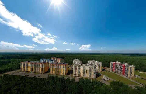 Южная поляна