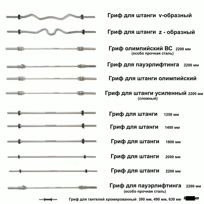 Скольвесит грифы для штанги. Вес ez грифа штанги. Вес w образного грифа. Сколько весит гриф штанги z образный. Сколько весит гриф в зале