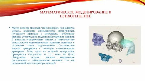 Фенотипическая популяция