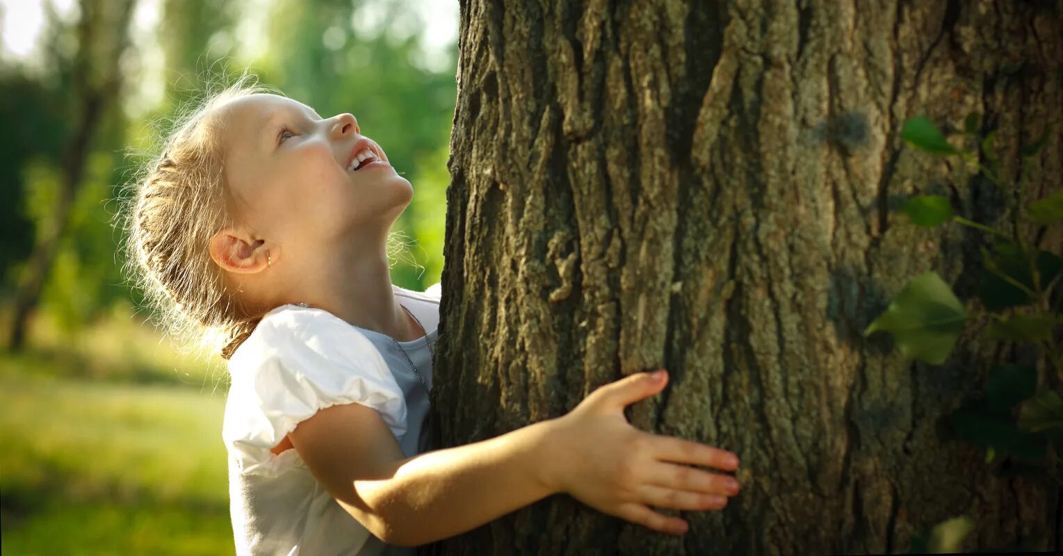 I am in a tree