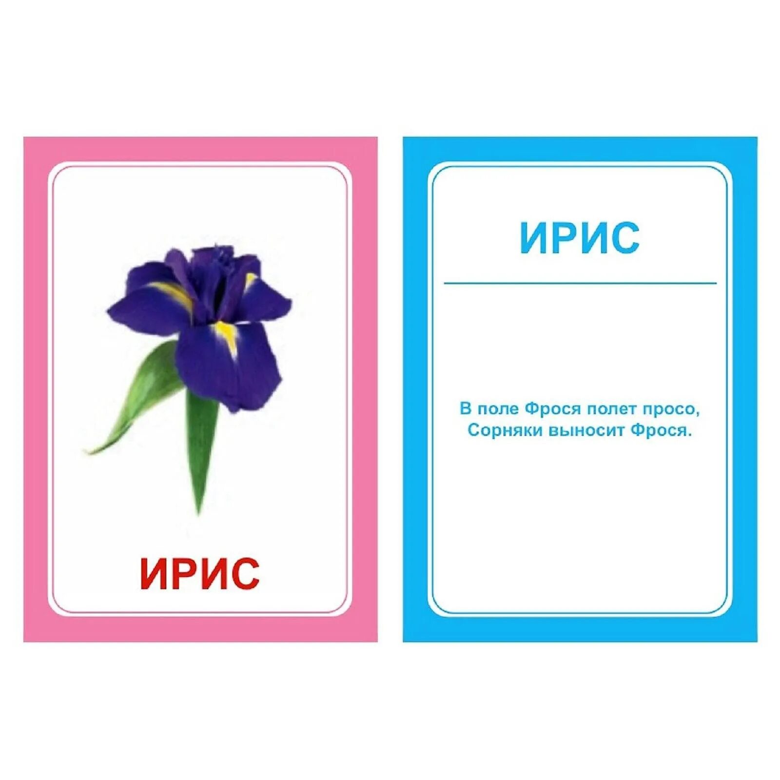 Логопедка "с" (набор карточек). Веселые логопедические карточки. Карточки для развития речи. Автоматизация л в чиистоговводрках. Набор карточек вундеркинд с пелёнок логопедка щ+х 10x7 см 30 шт.