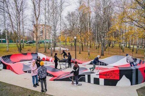 Сестрорецком парке клина