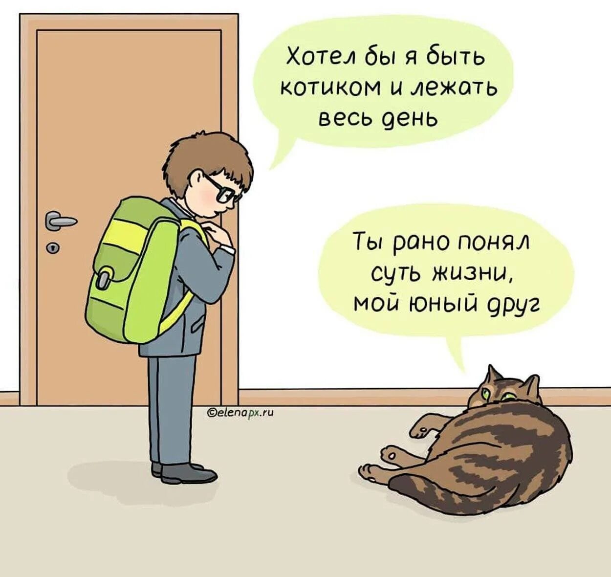 Быть котиком 6. Хочу быть котом. хочу быть котиком. жизнь кота.