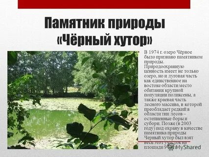Памятник природы в городе
