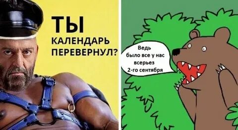 Коты 3 сентября