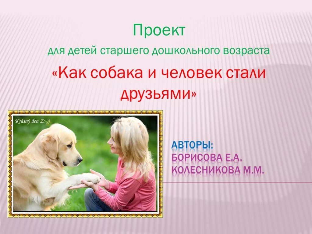 Собака и человек стали друзьями. Проект собака друг. Проект собака друг человека. Презентация на тему собака друг человека. Проект на тему собаки.