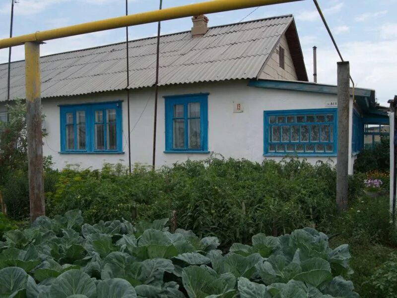 Брединский поселок боровой