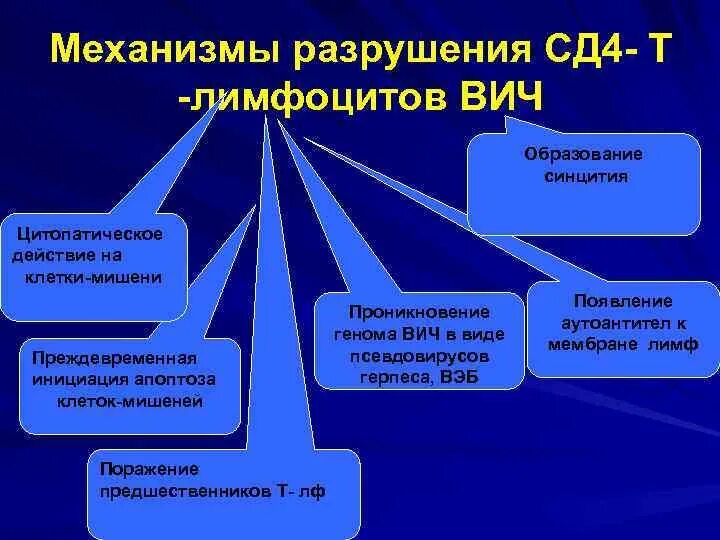 Стадия ВИЧ клетки сд4. Клетки сд4 при ВИЧ инфекции. Т лимфоциты СД 4 ВИЧ. Сд4 лимфоциты при ВИЧ. Разрушающий механизм