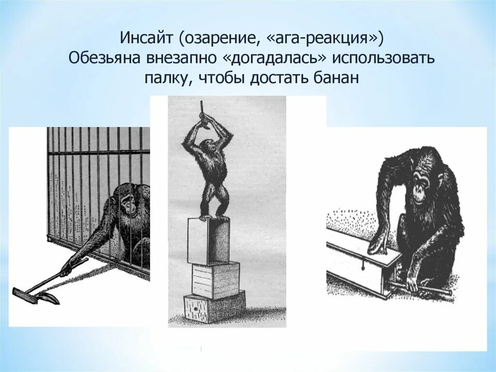 Инсайт информация. Инсайт озарение психология. инсайт физиология. инсайт это в психологии. инсайт это простыми словами.