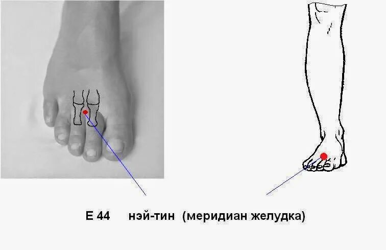 Нэй Тин точка. Меридиан желудка на стопе. Нэй Тин точка акупунктуры. Меридиан желудка точки расположения на стопе.