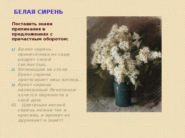 Стихотворение про сирень. Стихи про сирень. Стихи про белую сирень короткие и красивые. Стихи про сирень. Белая сирень текст.