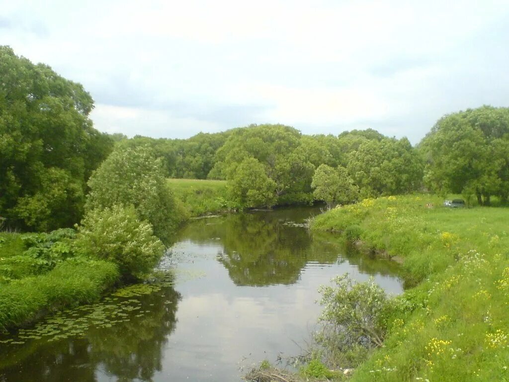 Д десна москва. Истье коттеджи. Река десна приток пахры. Москва поселение десеновское д. Брянский лес река десна.