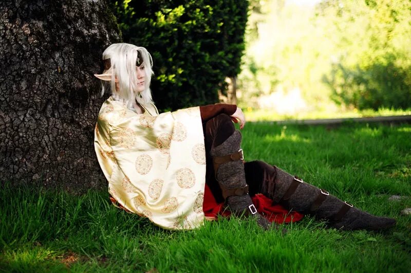 Elf cosplay. Эльф косплей. Эльфийка косплей. Эльфы Cosplay. Эльф мужчина косплей.