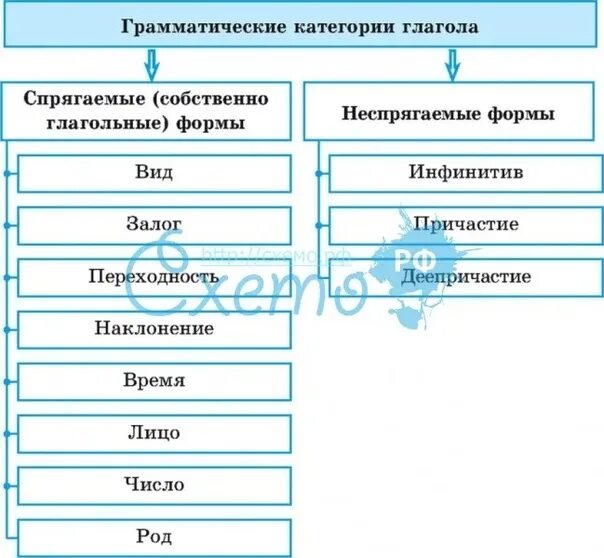 Глагол виды - фотоподборка