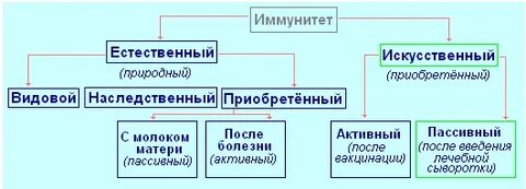 Тест по биологии иммунитет