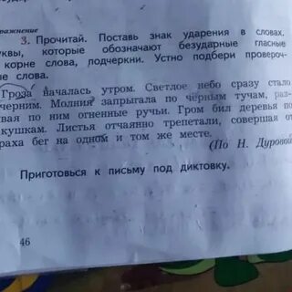 Прочитай сначала запиши предложения в которых
