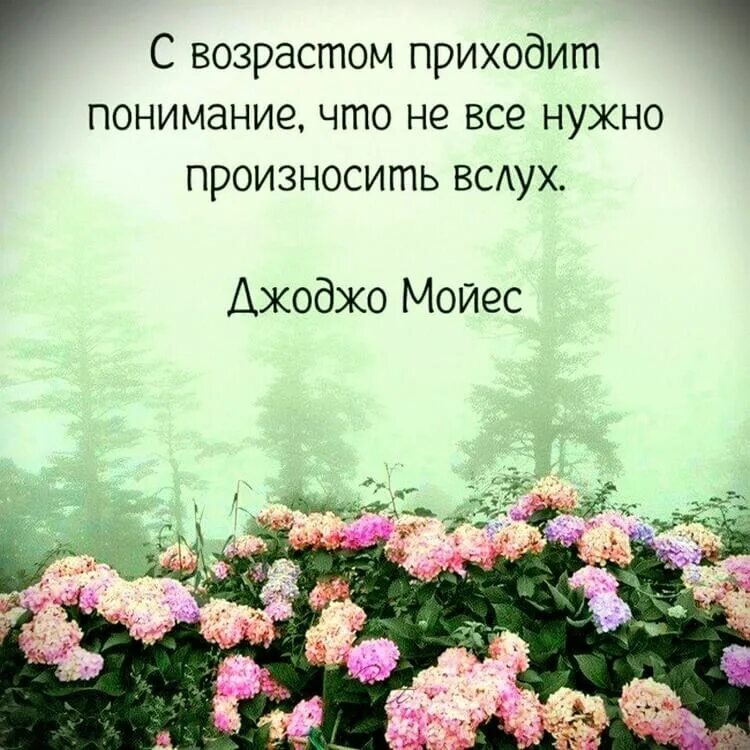 Имя вслух произнесет. Цитаты о прекрасном. Красивые выражения. Цитаты про понимание. Картины с Цитатами.