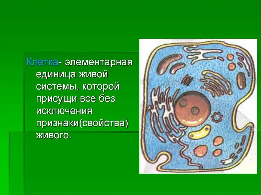 Ответ клетки всех живых организмов. Клетка Живая система. Клетка элементарная Живая система. Клетка единица живого. Клетка как единица живого.